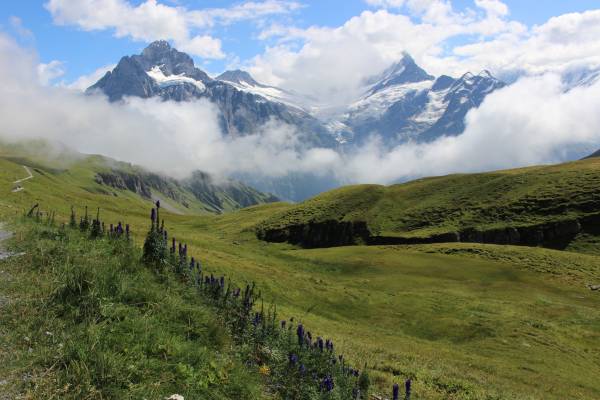 Le paradis au naturel