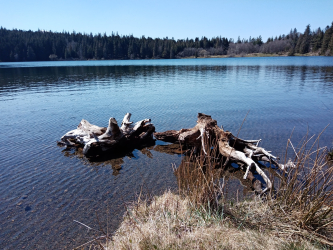 Lac de Servières... le diamant d’Auvergne